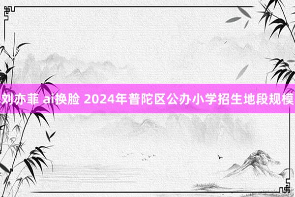 刘亦菲 ai换脸 2024年普陀区公办小学招生地段规模