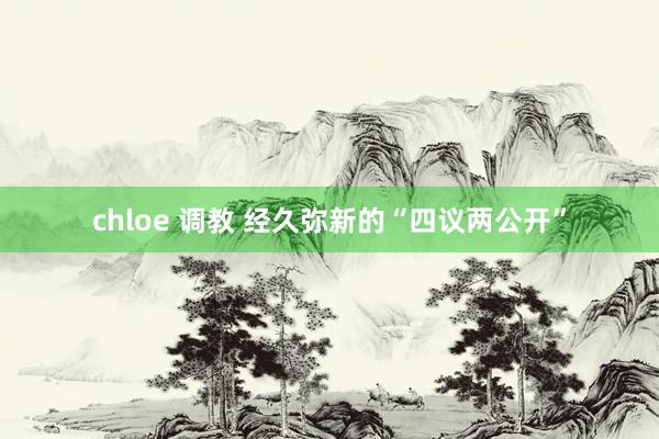 chloe 调教 经久弥新的“四议两公开”