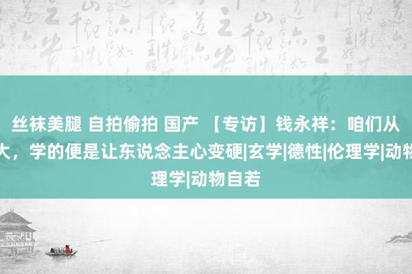 丝袜美腿 自拍偷拍 国产 【专访】钱永祥：咱们从小到大，学的便是让东说念主心变硬|玄学|德性|伦理学|动物自若