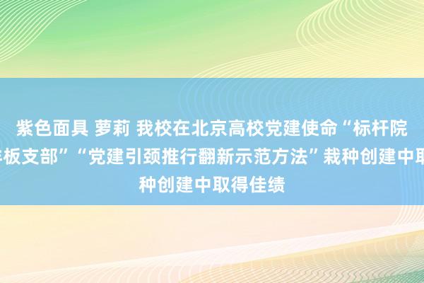 紫色面具 萝莉 我校在北京高校党建使命“标杆院系”“样板支部”“党建引颈推行翻新示范方法”栽种创建中取得佳绩