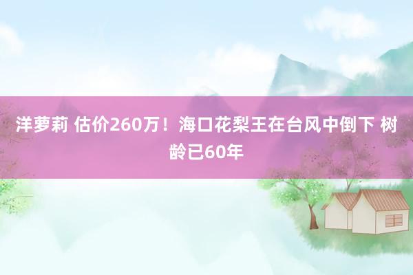 洋萝莉 估价260万！海口花梨王在台风中倒下 树龄已60年