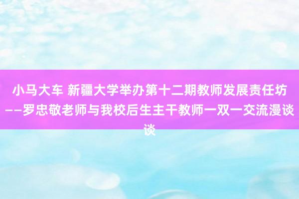 小马大车 新疆大学举办第十二期教师发展责任坊——罗忠敬老师与我校后生主干教师一双一交流漫谈