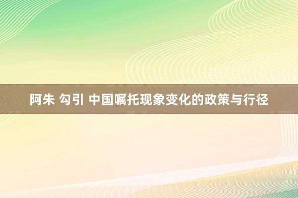 阿朱 勾引 中国嘱托现象变化的政策与行径