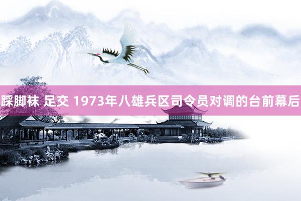 踩脚袜 足交 1973年八雄兵区司令员对调的台前幕后