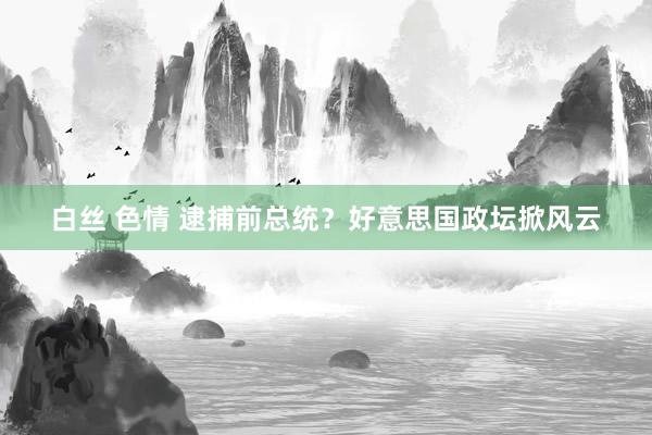 白丝 色情 逮捕前总统？好意思国政坛掀风云